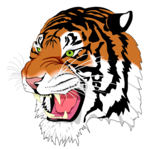 Enki adlı kişinin profil fotoğrafı