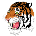 Enki adlı kişinin profil fotoğrafı